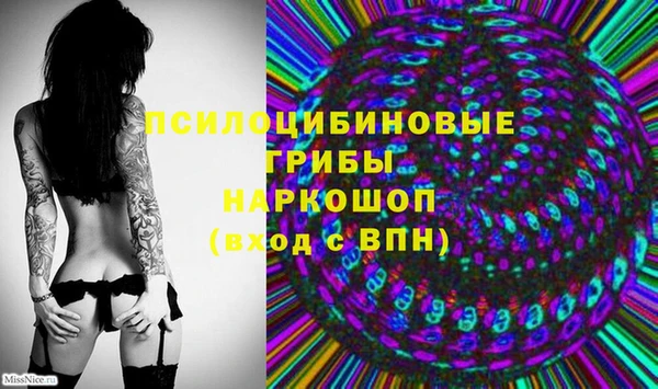 гидропоника Алексин