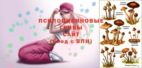 гидропоника Алексин