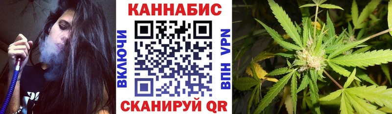 Бошки Шишки сатива  Константиновск 